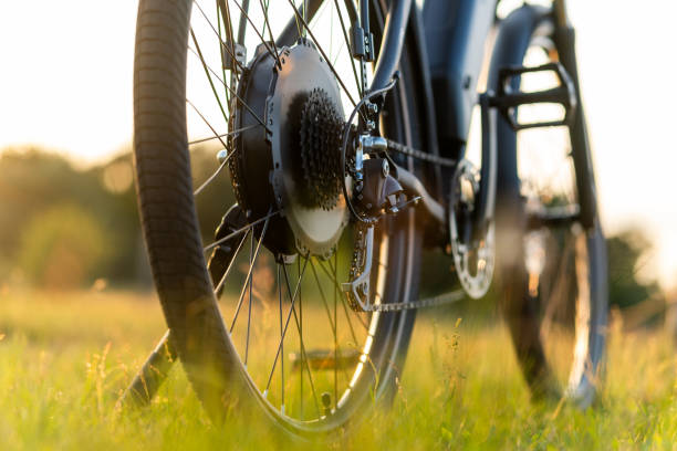 Electric bike motor