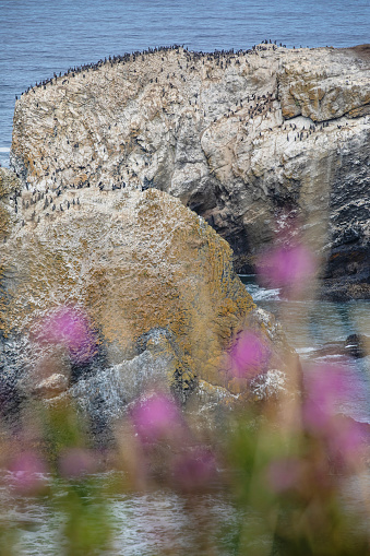 Scenic views at the Yaquina Head Lighthouse,  just north of Newport, Oregon