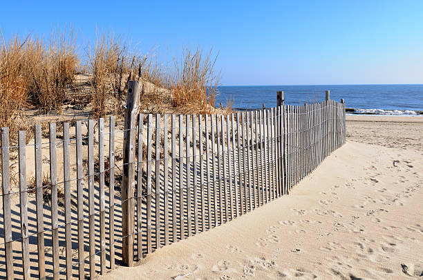 zaun mit sand dune und das meer - sand sea oat grass beach sand dune stock-fotos und bilder