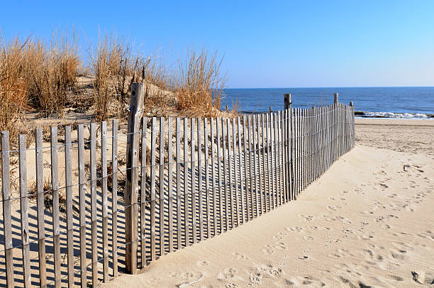 울타리 모래 사구 및 해양수 - sand beach sand dune sea oat grass 뉴스 사진 이미지