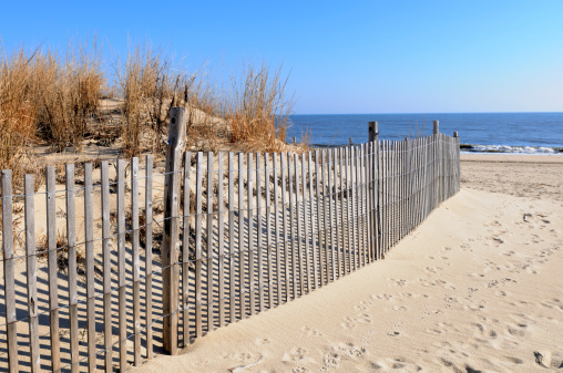 Path to beach along sand dune.