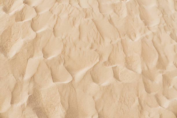 istock Natural sand texture. Wavy sand background for summer designs. 1630131738
