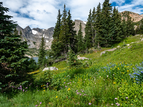 Panorama of Hagerman Peak and Snowmass Mountain, Elk Range, Elk Range, Rocky Mountains in Colorado