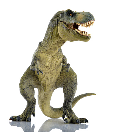 Tyrannosaurus rex isolated on white background