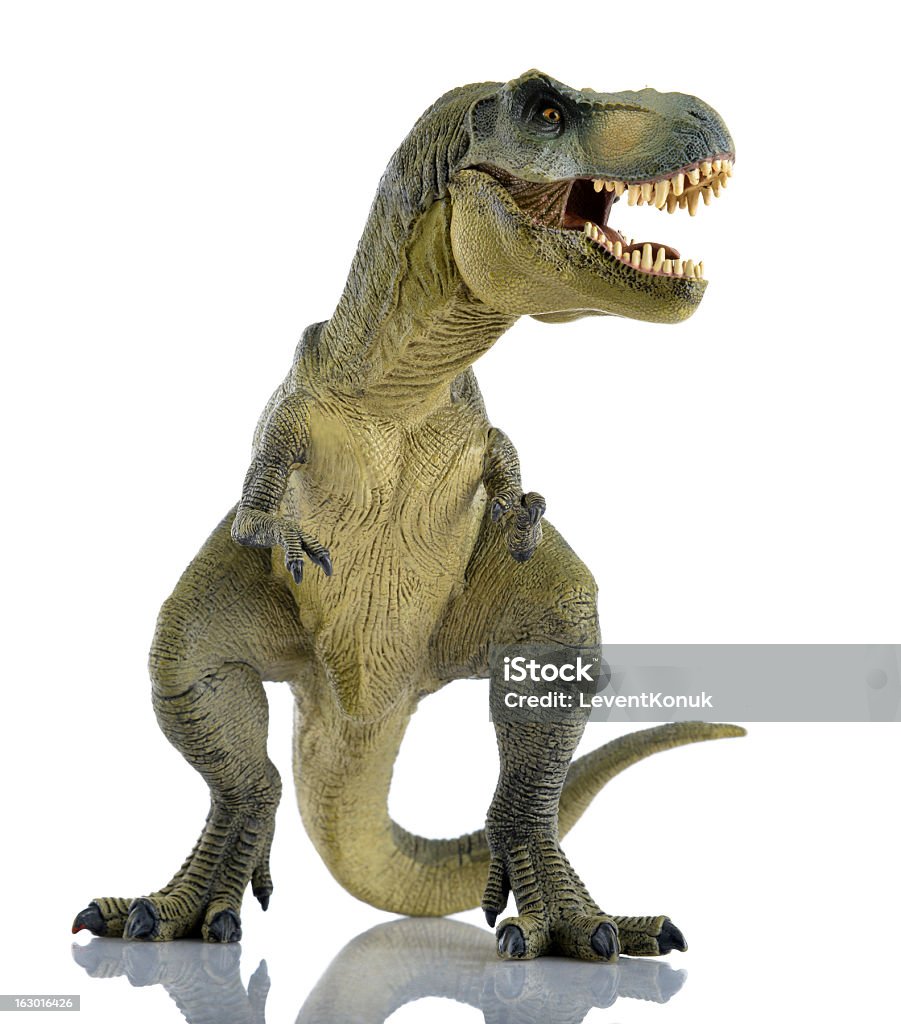 T-rex Tyrannosaurus rex isolated on white background Dinosaur Stock Photo