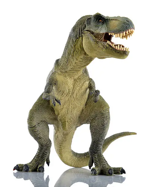 Tyrannosaurus rex isolated on white background