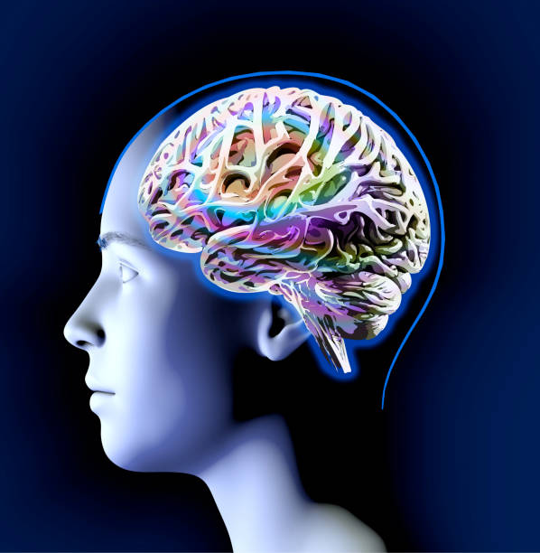 istock Neurology, philosophy: connections, the development of thought and reflection, the infinite possibilities of the brain and mind 1630167882