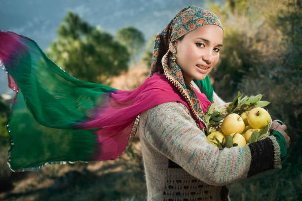 personas de himachal pradesh: bella mujer llevando apple cesta - wind scarf women people fotografías e imágenes de stock