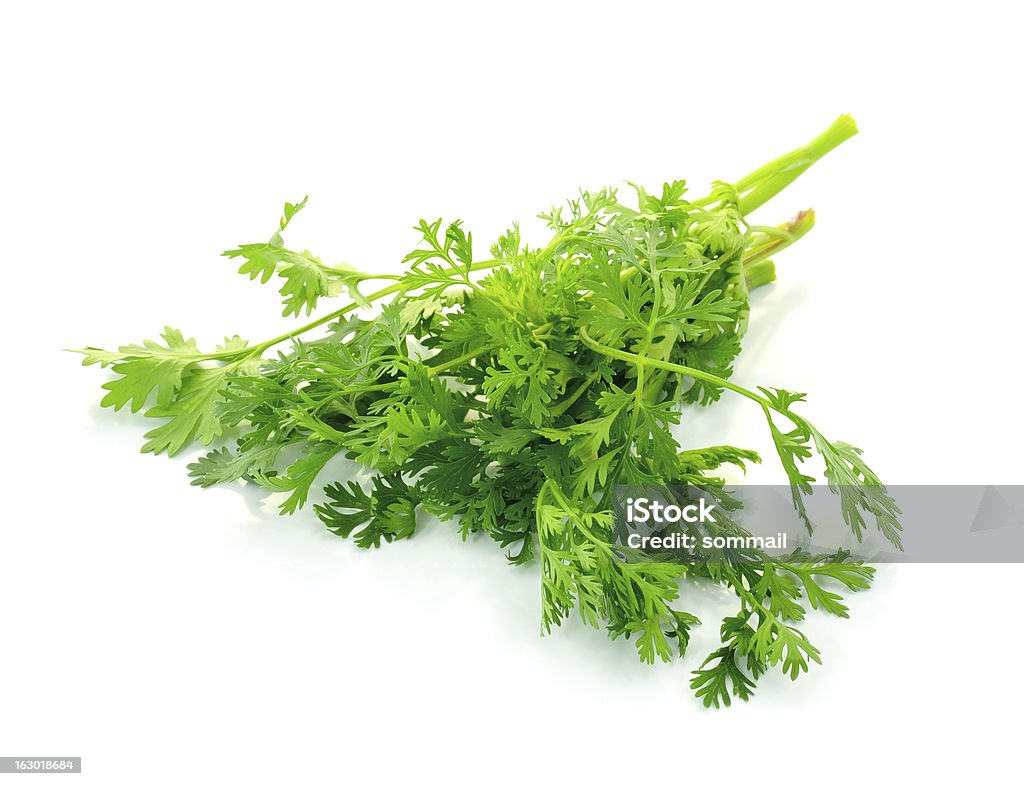 Orgânicos folha de coentro fresco cru. - Foto de stock de Coentro royalty-free Orgânicos folha de coentro fresco cru. - Foto de stock de Coentro royalty-free