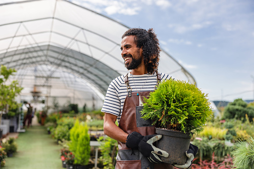 A happy male Middle Eastern florist smiling and looking away from the camera while holding a plant in his hands. He is working outside on a beautiful sunny day. The garden center employee is wearing protective gloves and an apron.