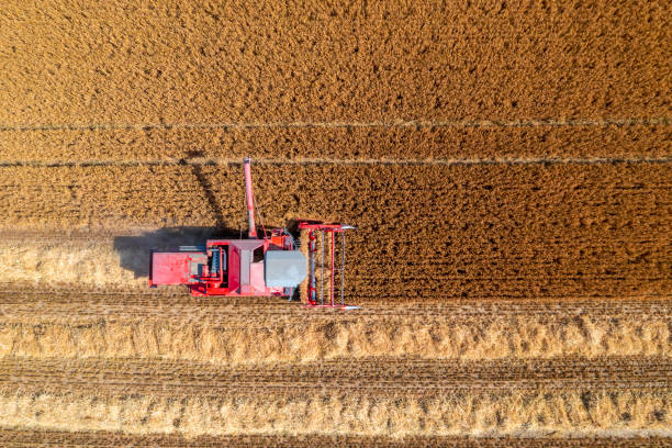 istock Red Combine Harvester from Above 1630201796