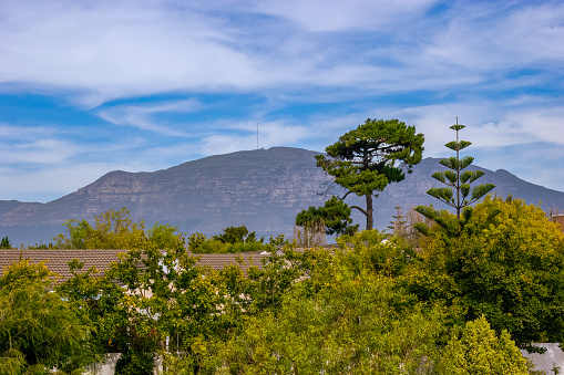 Constantiaberg, Cape Town, in the Western Cape Province of South Africa. The view above rooftops and treetops. Photo shot in the horizontal format; copy space.