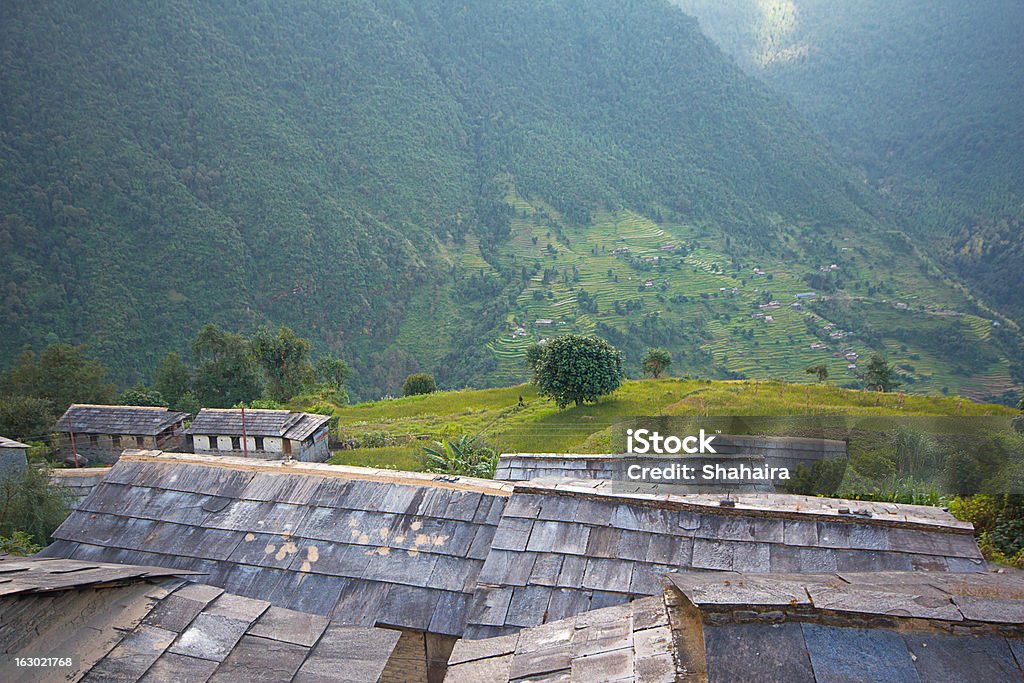 Paisagem na região do Himalaia - Foto de stock de Agricultura royalty-free
