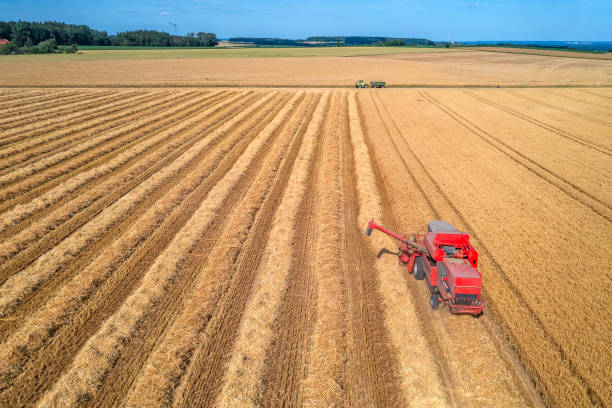 istock Red Combine Harvester, Aerial View 1630217924