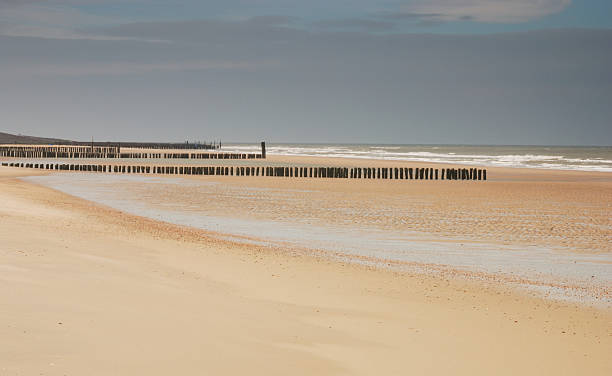 istock Dutch beach near Domburg 163023984