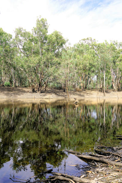 istock Lower Moira, Victoria, Australia 1630334648