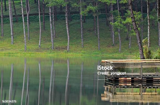 Foto de Pang Ung Belo Lago Florestal Da Manhã e mais fotos de stock de Balsa - Balsa, Bambu, Beleza natural - Natureza