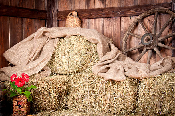 istock Interior of the building, village. 163034877