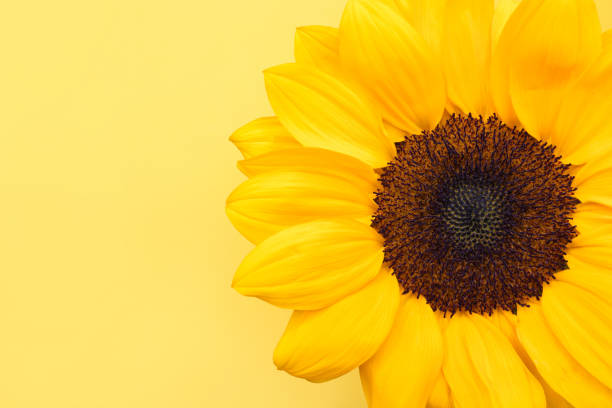 istock Mental Health Awareness 1630373437