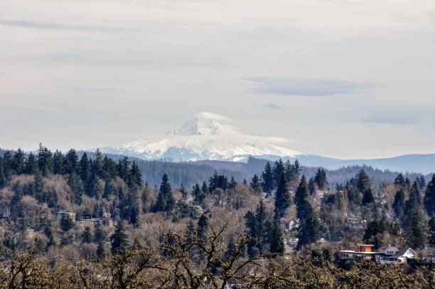istock Mt. Hood with snow 1630388170