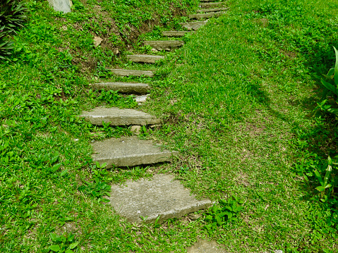 Stone steps on the hill form a staircase among the green grass.