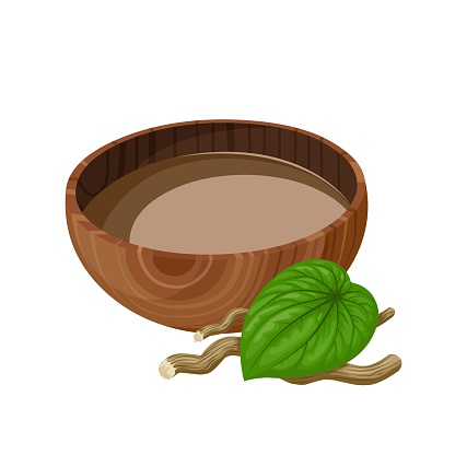 Vector illustration, kava drink in a wooden bowl, with kava root and leaves, scientific name Piper methysticum, isolated on white background.
