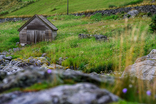 A horizontal landscape photograph captures the picturesque countryside of Maløy, Norway. In the foreground, rocks subtly blur out of focus, leading the viewer's eye to a vibrant green hillside. Centered in the scene is a rustic wooden cabin, a quintessential representation of Norwegian architecture. Behind the cabin, a stone wall runs through the verdant fields, seamlessly blending into the expansive green backdrop.