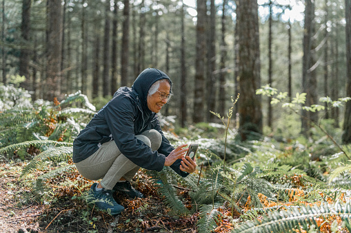 Active, senior woman of Chinese and Hawaiian descent, dressed in warm clothing smiles and squats down to use her smart phone to take a photograph of ferns and other plants lining the forest floor while enjoying a relaxing hike in Oregon on a cool spring day.