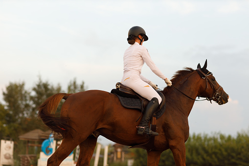 Dressage horse and rider in uniform during equestrian jumping competition