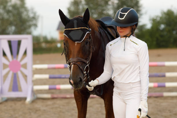 jockey-reiterin in uniform hält zaumzeug des dressurpferdes während der springturniershow. - horse show jumping jumping performance stock-fotos und bilder