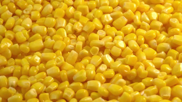 Sweet corn kernels macro rotate like a background. Ingredient for mexican salad filled with vitamins