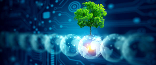 istock Crystal ball with tree against nature. Ecology, Energy, and Environment Concept. 1630466665