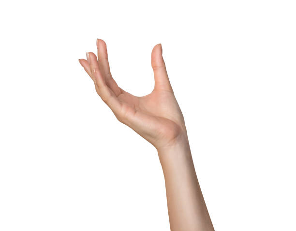 Clipping path, woman hand touching or pointing on isolated white background.