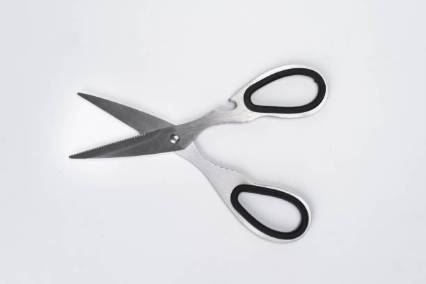 istock Kitchen scissors shears stainless steel isolated on white background. kitchen shears 1630593706
