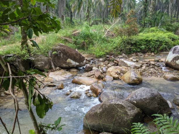 istock river and rocks as a nature concept 1630624449