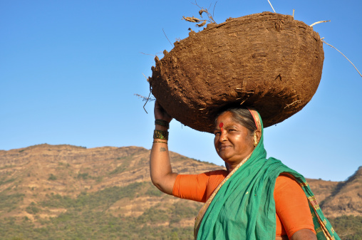 indian woman carry cow dongue for fire