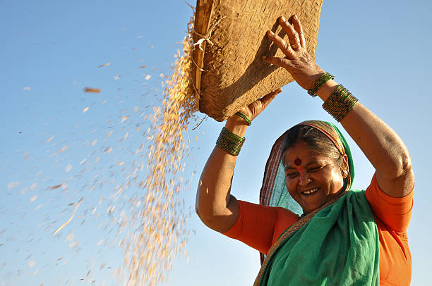 donna felice lavoro - maharashtra foto e immagini stock