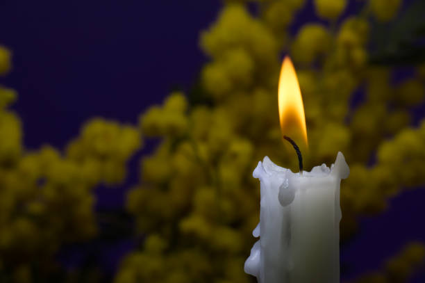 istock Burning candle and mimosa flowers over dark blue 1630682313