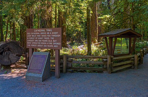 Entrance of the Cathedral Grove walking trail, Macmillan provincial park, Vancouver Island, British Columbia, Canada.