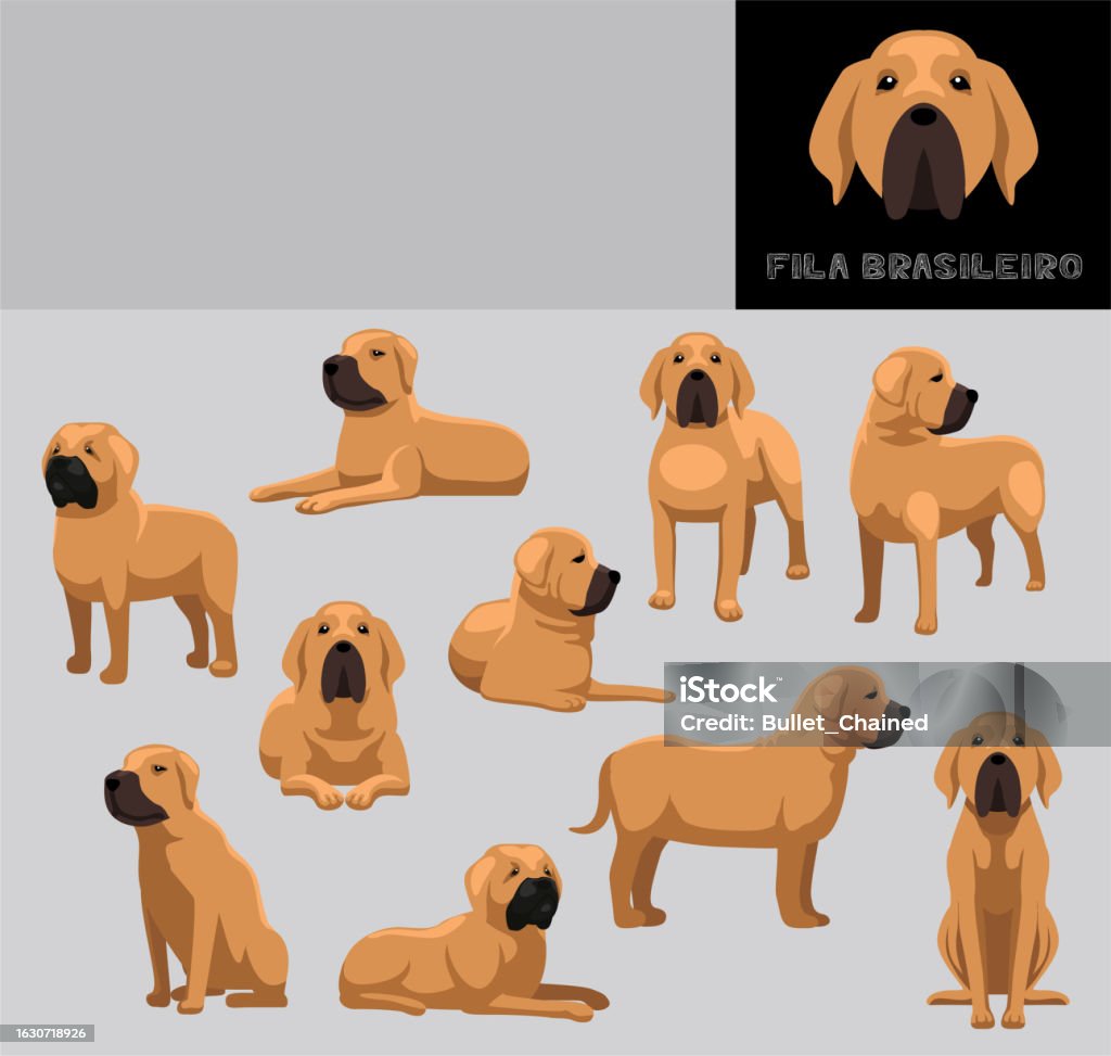 Dog Fila Brasileiro Cartoon Vector Illustration Color Variation Set Stock  Illustration - Download Image Now - iStock