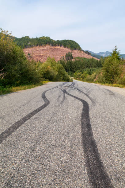 istock Tires Marks On A Rural Road 1630720497