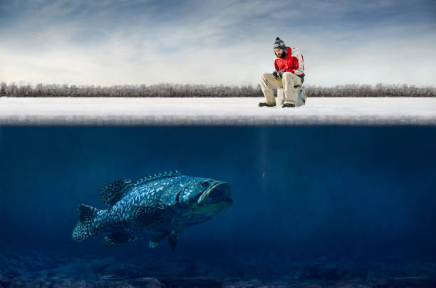 pesca no gelo - animal catch of fish catching sport imagens e fotografias de stock