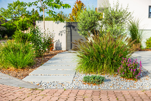 The frontyard of a modern house, garden details with colorful plants, dry grass beds surrounded by grey rocks.