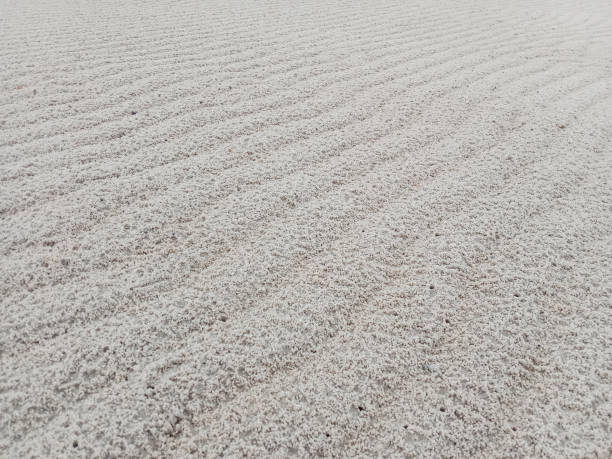 istock Sea sand. Natural sand pattern at the beach during low tide. Sea sand background and texture. 1630738446