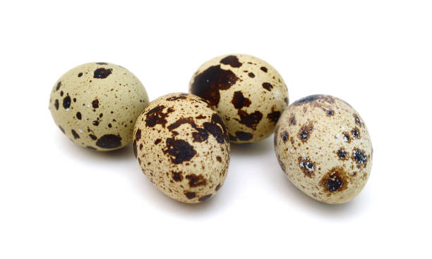 istock Quail eggs are isolated on a white background 1630738449