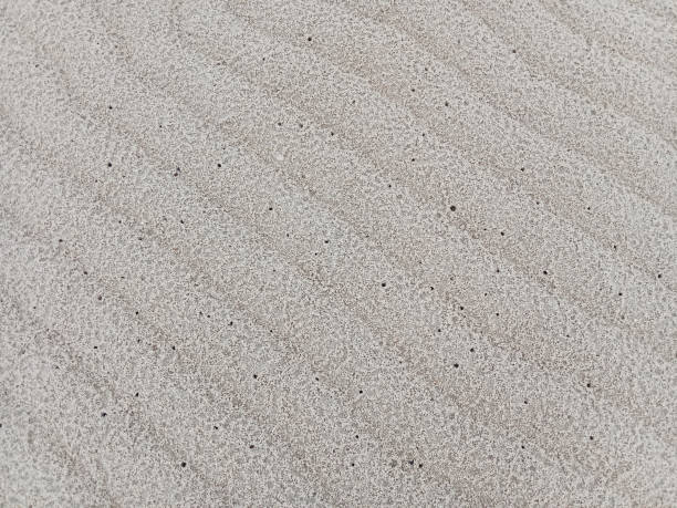 istock Sea sand. Natural sand pattern at the beach during low tide. Sea sand background and texture. 1630738464