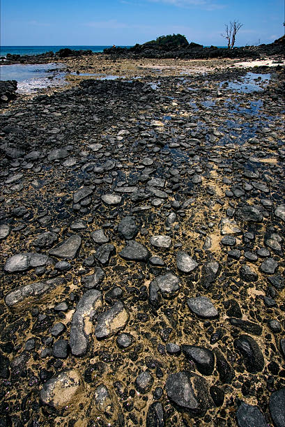 istock rock and stone in the beach 163074383