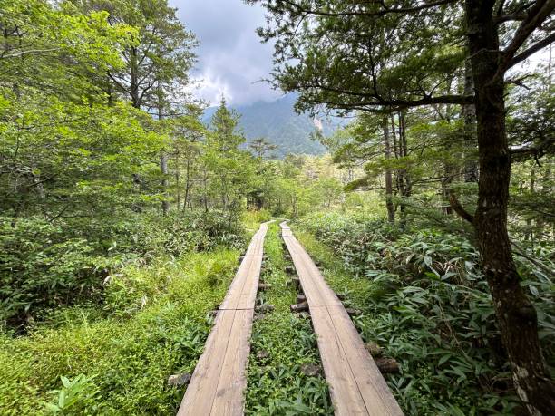 istock Kamikochi (Upper Highlands) is a remote mountainous highland valley within the Hida Mountains range, in the western region of Nagano Prefecture, Japan. Japanese hiking and trekking. 1630794786