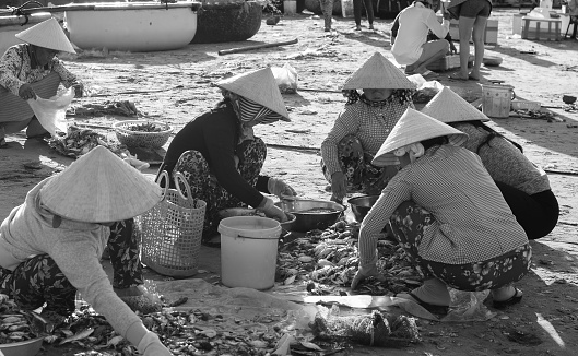 Phan Thiet, Vietnam - Mar 19, 2016. Group of women selling fish at the pier in Mui Ne town, Phan Thiet, Vietnam. Mui Ne is a coastal fishing town in the Southern Vietnam.