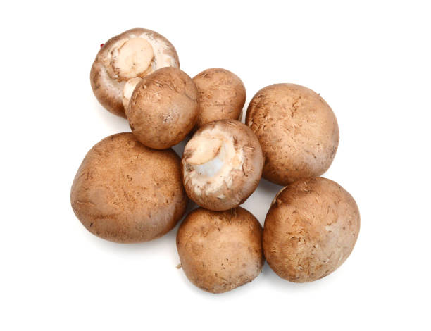 istock Brown mushrooms isolated on white background 1630813651